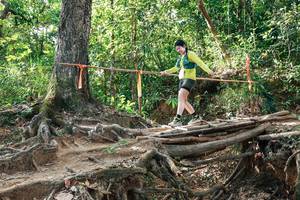 BIB: 
                            <button type="button" onclick="openModal(27558329)" class="btn btn-primary btn-sm float-right btn-popup" data-toggle="modal" data-target=".modal-high-quality">
                        <i class="fas fa-shopping-cart"></i> Add to Cart
                    </button>
                                            <button type="button" onclick="isThisMe(27558329, true)" class="btn btn-success btn-sm float-right btn-popup btn-isme hidden" data-toggle="tooltip" data-placement="bottom" title="นี่คือรูปของคุณใช่ไหม คลิกที่นี่เพื่อเอาเข้าอัลบั้ม">
                        <i class="fas fa-plus"></i> Add to album
                    </button>
                    <button type="button" onclick="isThisMe(27558329, false)" class="btn btn-warning btn-sm float-right btn-popup btn-isnotme hidden">
                        <i class="fas fa-ban"></i> Remove from album
                    </button>